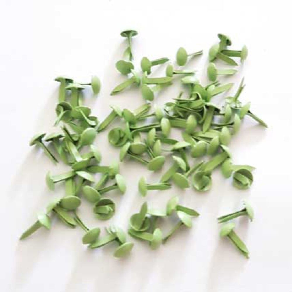 100 Attaches Parisiennes Rondes Vert 5 mm