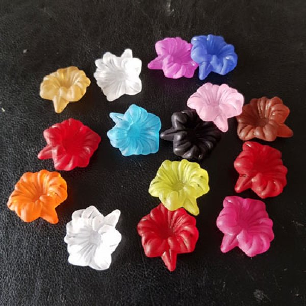 15 Flores de Orqu&iacute;dea Surtidas