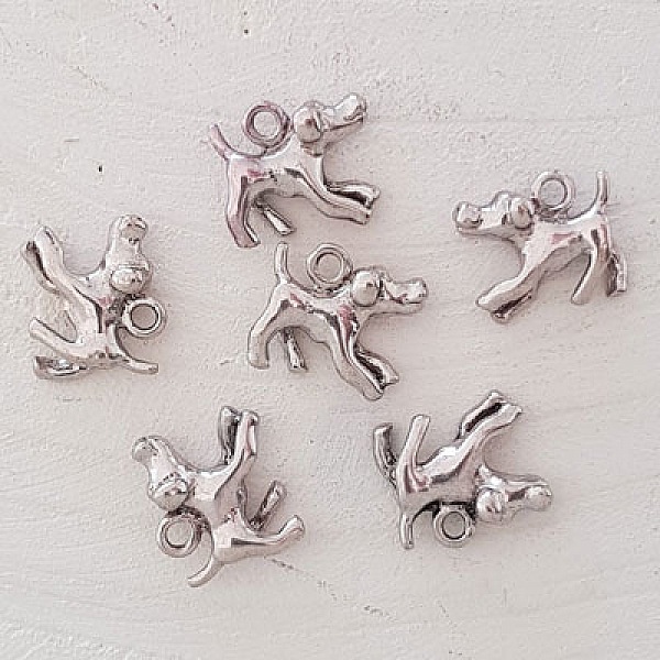 Encanto Perro N&deg;12