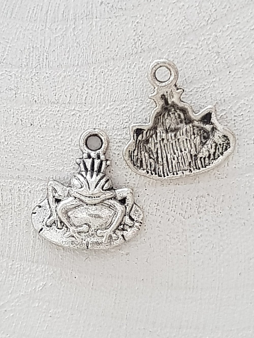 Encanto de rana N&deg;02