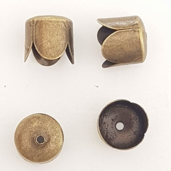 Caperuza N&deg;06 Bronce