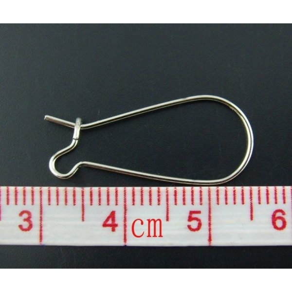 Portapendientes Dormeuse 25mm N&deg;06 x 1 Par