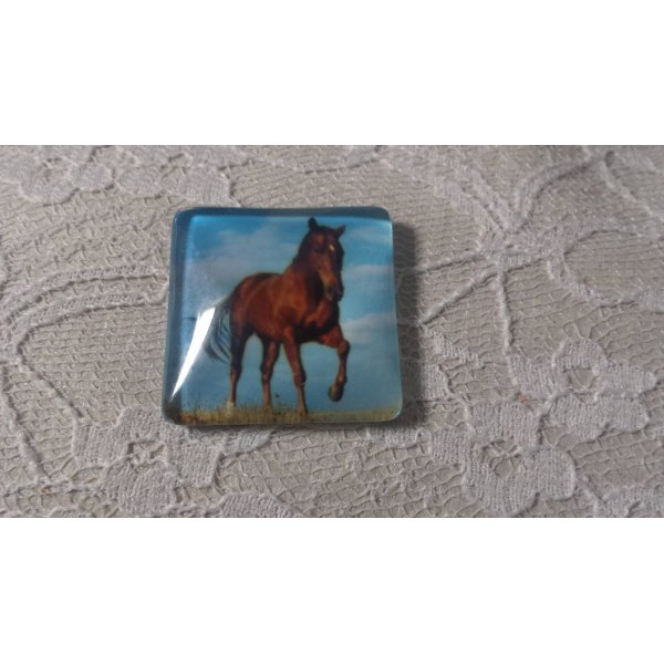 cabuj&oacute;n cuadrado de vidrio 30mm 015 