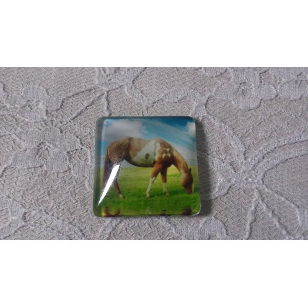 cabuj&oacute;n de vidrio cuadrado 30mm 001 