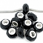 Compatible con Pearl nº 0040