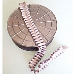 Cinta de fantasía N°059 por metro