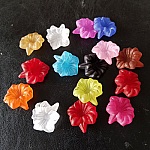 15 Flores de Orquídea Surtidas