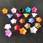 20 Flores de nomeolvides surtidas