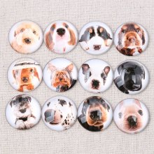Lote 24 cabujones redondos de vidrio 25mm Cabujón de vidrio perro mixto 