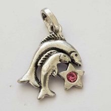 Signo del Zodiaco Piscis Charm Metal Plateado N°03 con strass