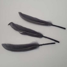 3 Plumes 15 cm N°01 Gris