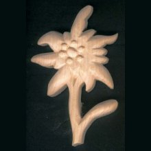 Edelweiss tallado sin encerar