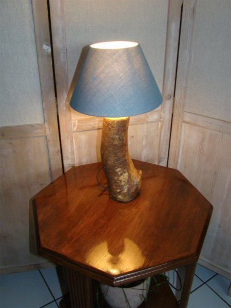 L&aacute;mpara forestal, la naturaleza y sus maravillas 