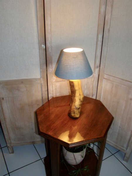 L&aacute;mpara forestal, la naturaleza y sus maravillas 