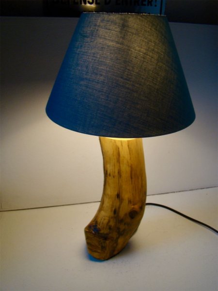 L&aacute;mpara forestal, la naturaleza y sus maravillas 