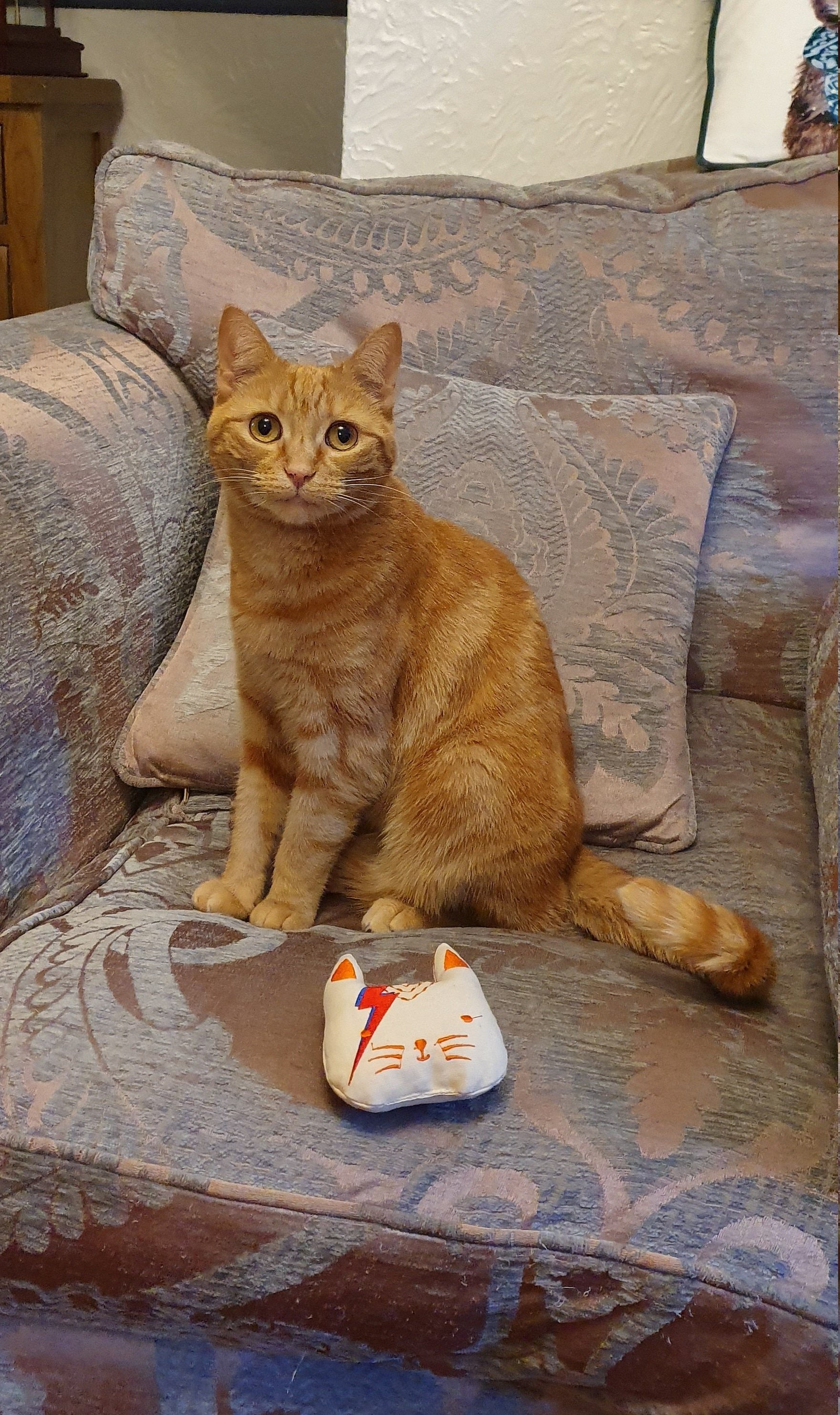 Une photo, votre &eacute;ventail, celui l&agrave; est en soie