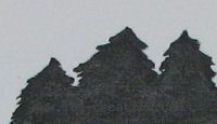 Pintar el bosque
